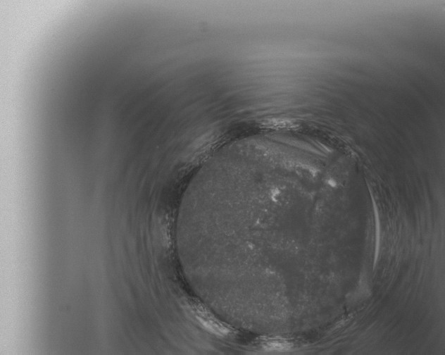 X0000080100658200612221740