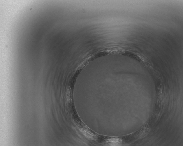 X0000080100659200612221740