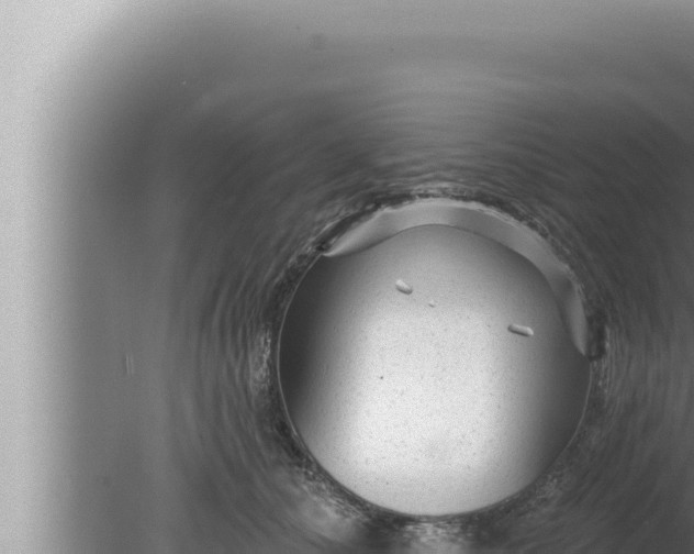 X0000080100660200612221740