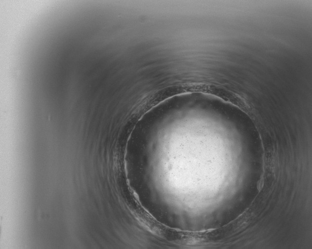 X0000080100662200612221740