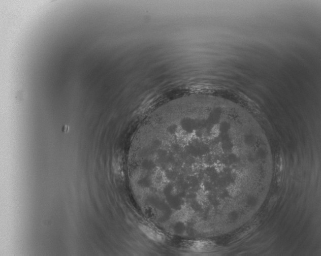 X0000080100663200612221740