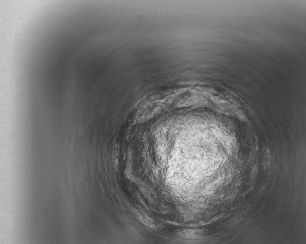 X0000080100664200612221740