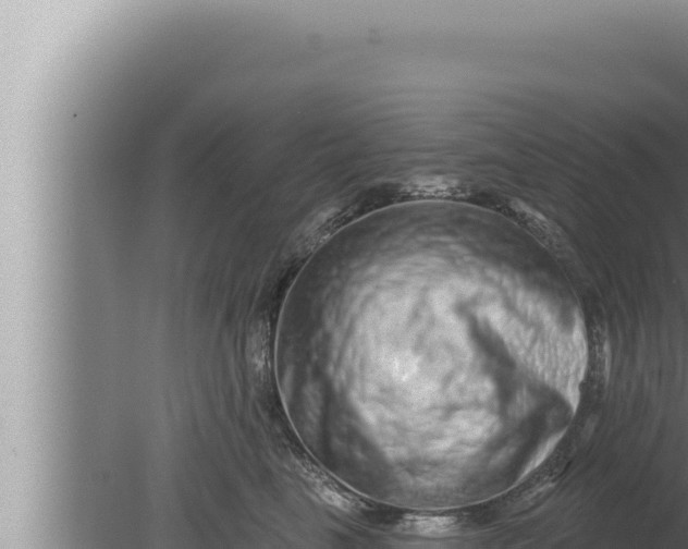 X0000080100665200612221740