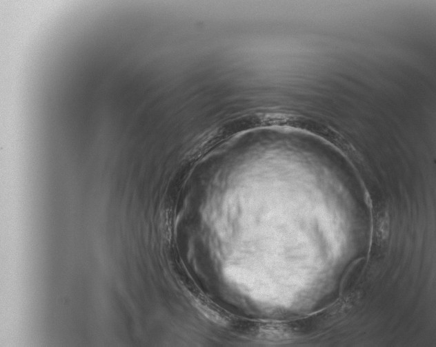 X0000080100666200612221740