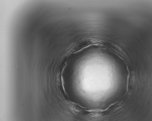 X0000080100667200612221740