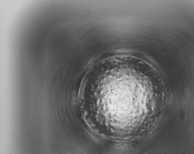 X0000080100669200612221740