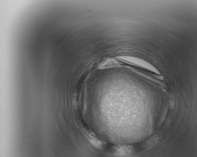 X0000080100670200612221740