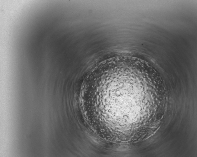 X0000080100671200612221740