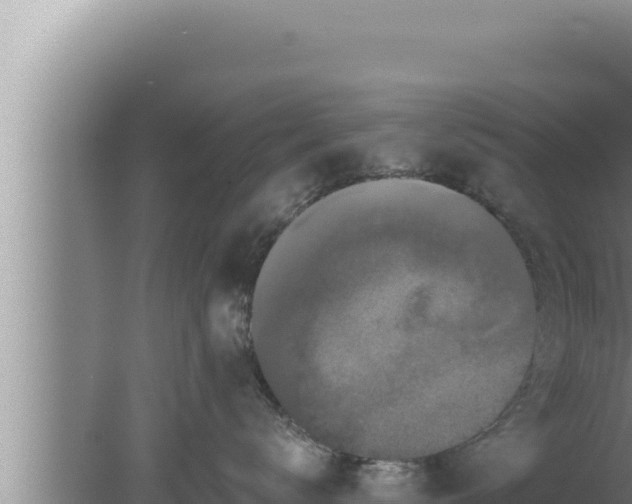 X0000080100672200612221740