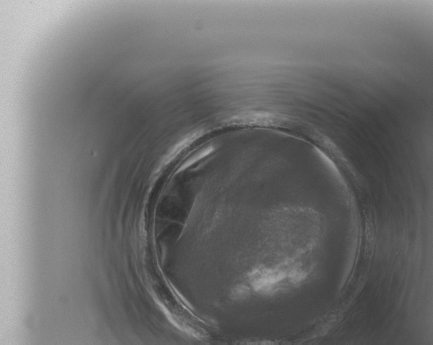 X0000080100674200612221739