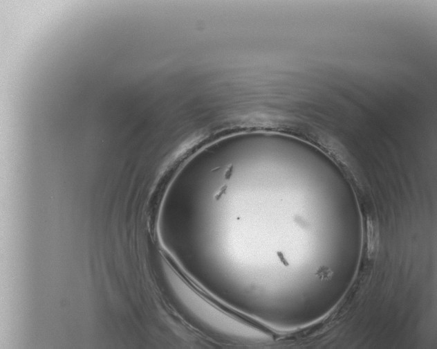 X0000080100675200612221739