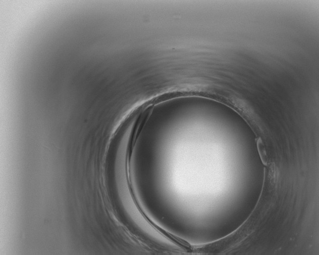 X0000080100676200612221739