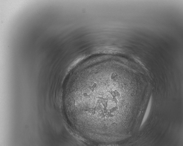 X0000080100679200612221739