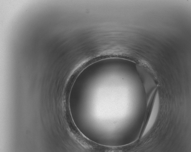 X0000080100680200612221739