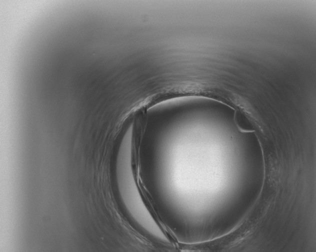 X0000080100681200612221739