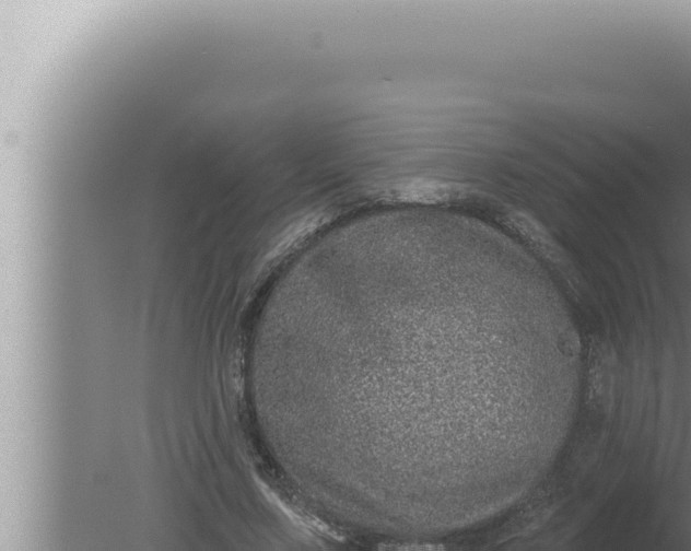 X0000080100683200612221739