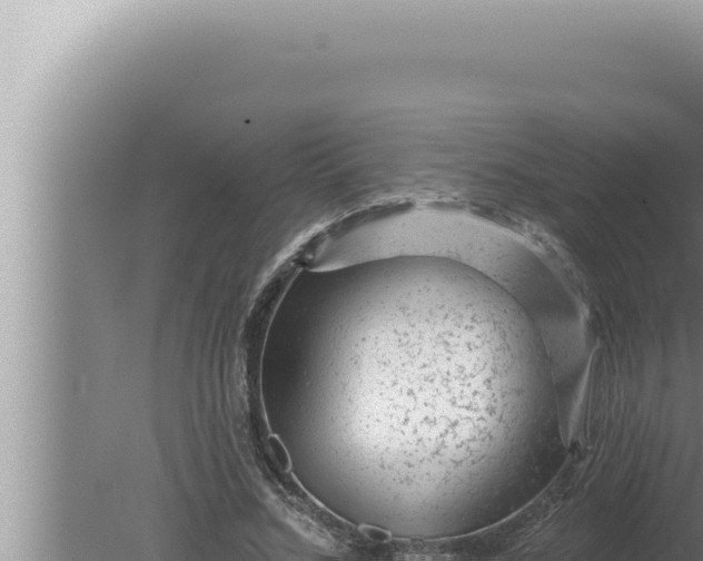 X0000080100684200612221739