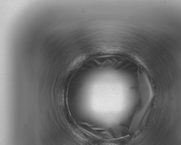 X0000080100685200612221739