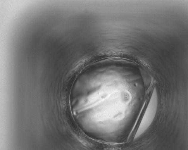 X0000080100687200612221739