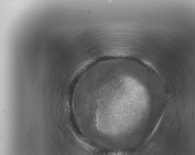 X0000080100688200612221739