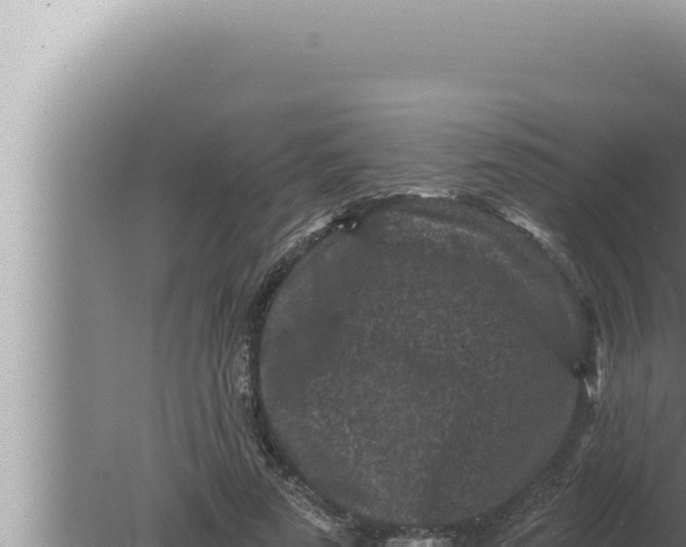 X0000080100689200612221739