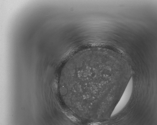 X0000080100691200612221739