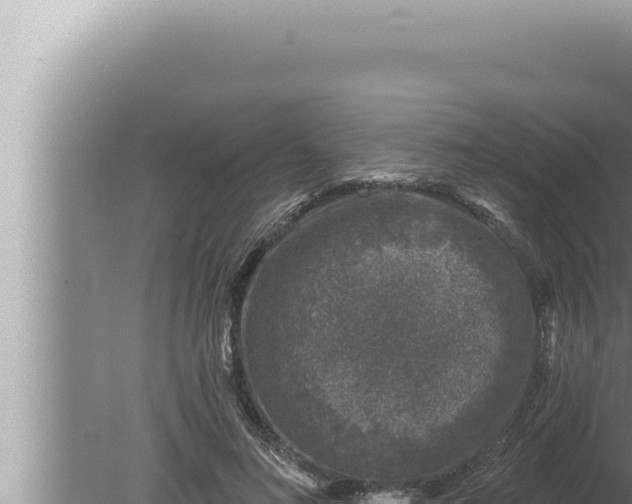 X0000080100692200612221739