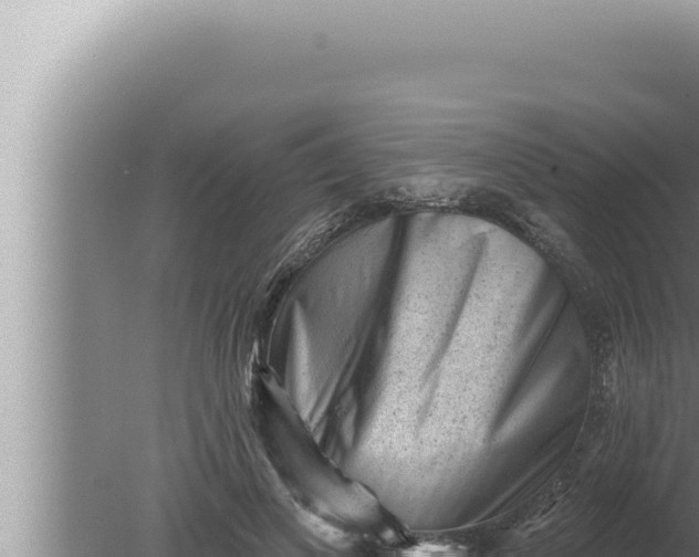 X0000080100693200612221739