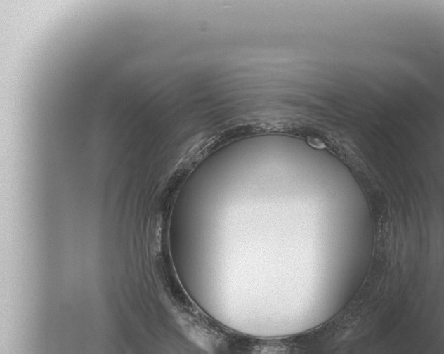 X0000080100694200612221739