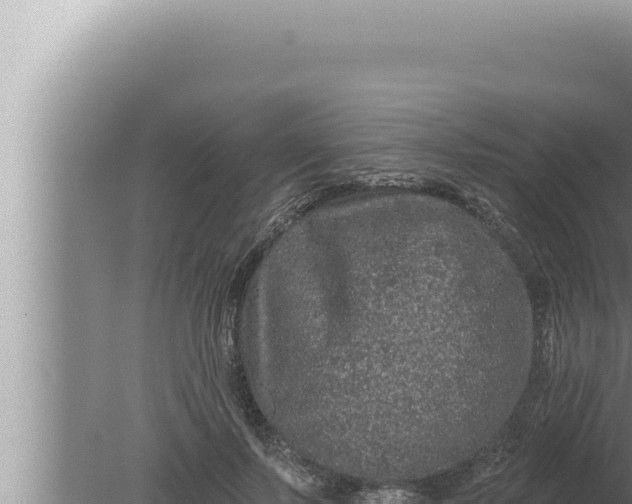 X0000080100695200612221739