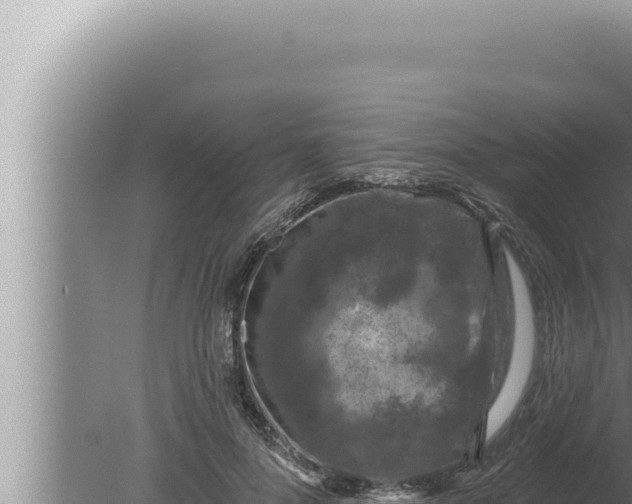 X0000080100696200612221739