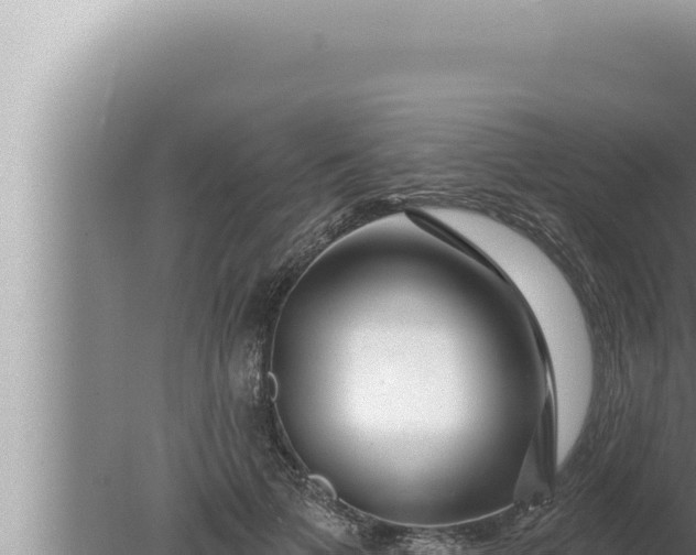 X0000080100697200612221739