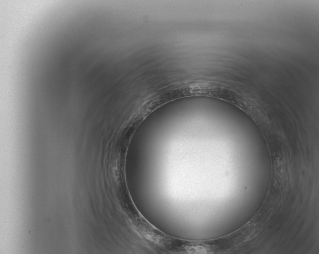 X0000080100698200612221739