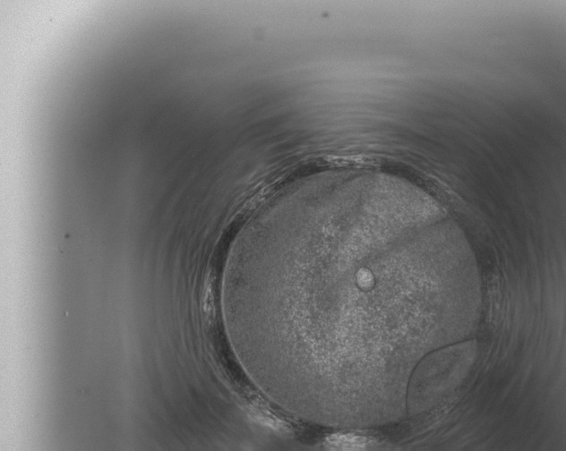 X0000080100699200612221739