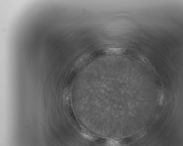 X0000080100701200612221739