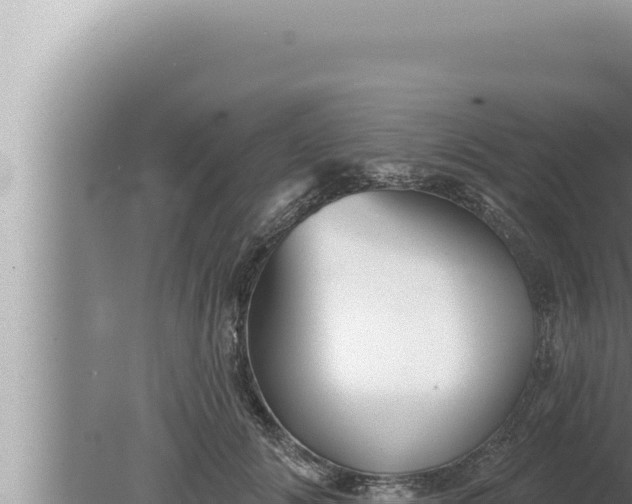 X0000080100702200612221739