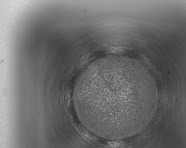 X0000080100703200612221739