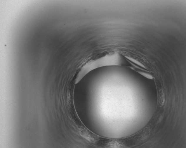 X0000080100704200612221739