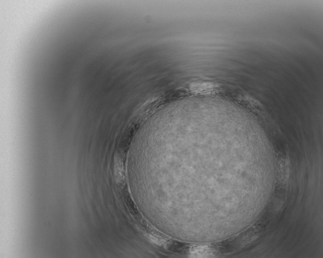 X0000080100705200612221739