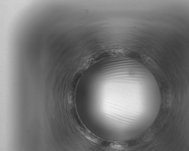 X0000080100706200612221739