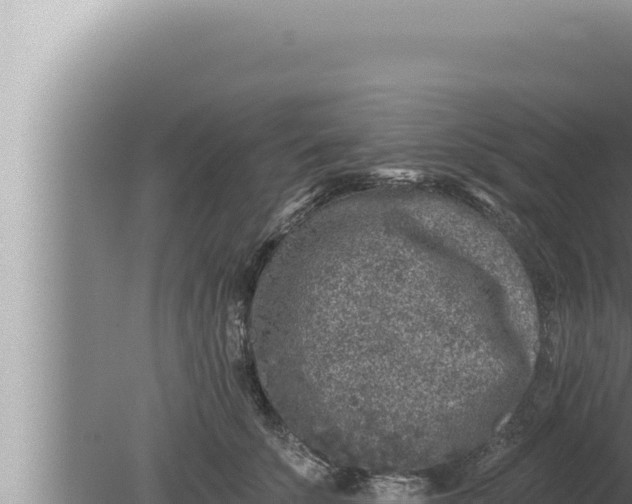 X0000080100707200612221739