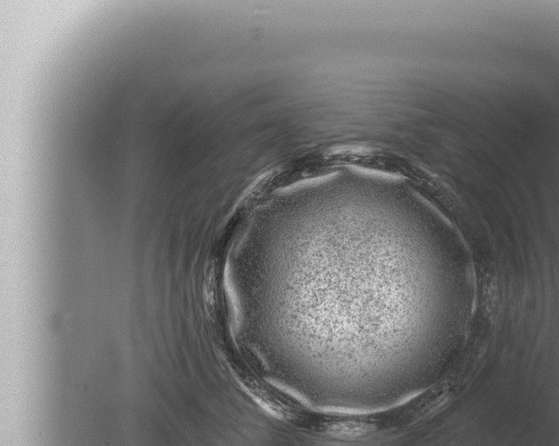 X0000080100708200612221739