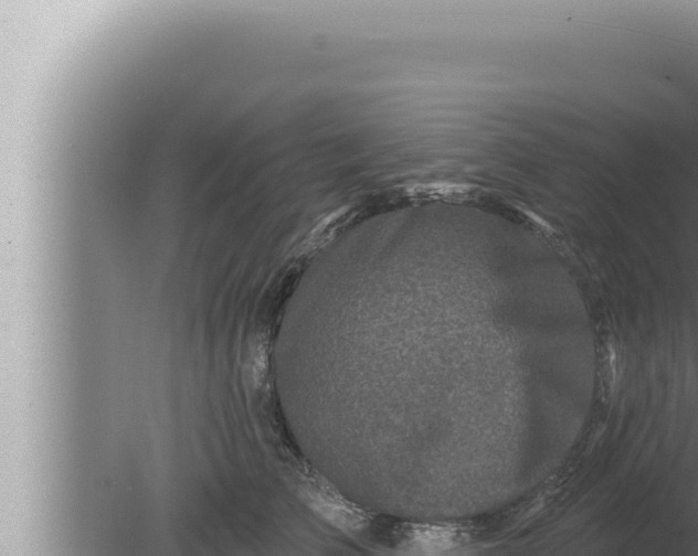 X0000080100709200612221739