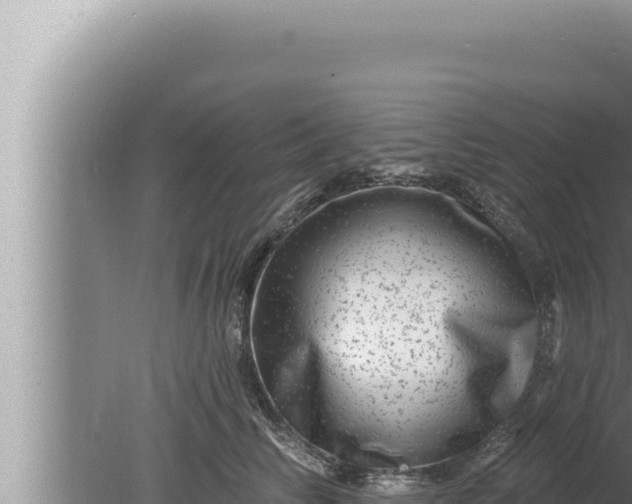 X0000080100710200612221739