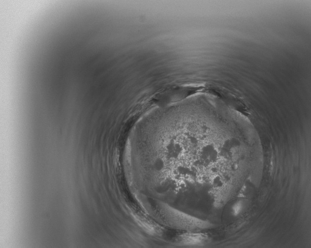 X0000080100711200612221739