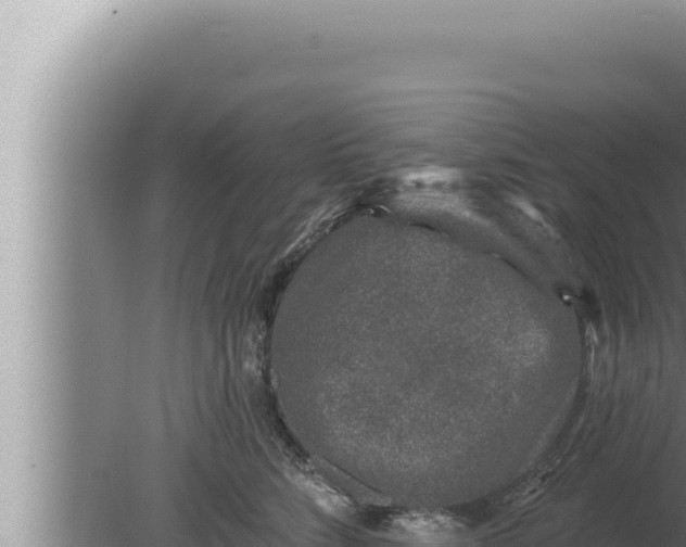 X0000080100712200612221739