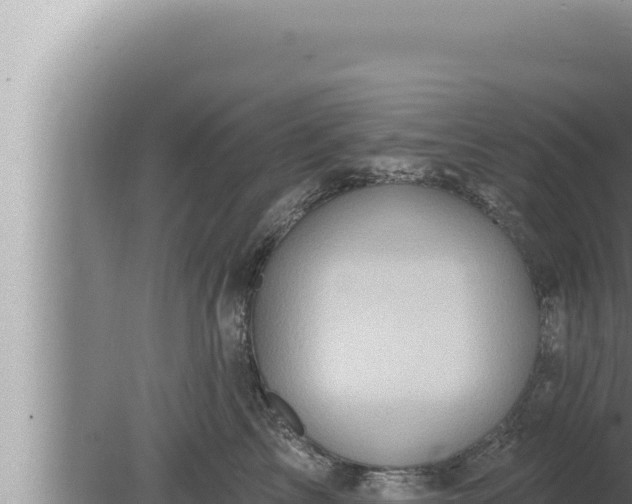 X0000080100713200612221739