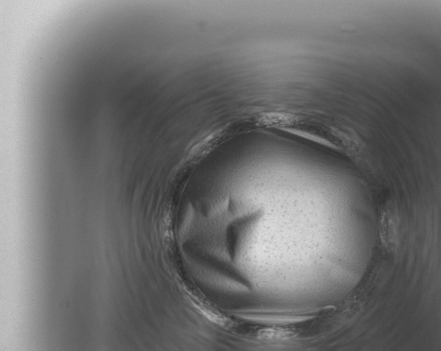 X0000080100714200612221739