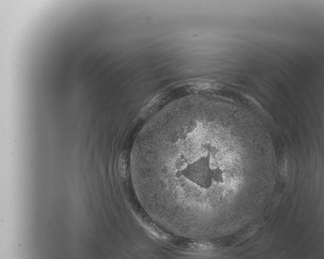 X0000080100715200612221739