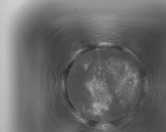 X0000080100716200612221739